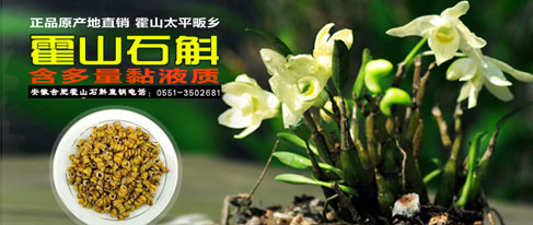 安徽合肥精品特产——霍山石斛