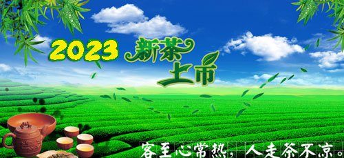 2023新茶黄芽，毛峰，猴魁，瓜片